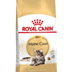 Royal Canin Maine Coon 4 KG