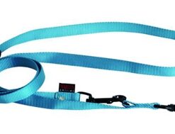 Martin Hondenriem Multipurpose Nylon Turquoise 200X2 CM