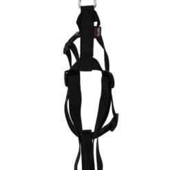 Martin Hondentuig Basic Nylon Zwart 25-35X1 CM