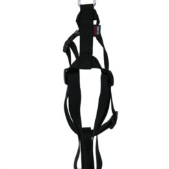 Martin Hondentuig Basic Nylon Zwart 35-50X1,6 CM
