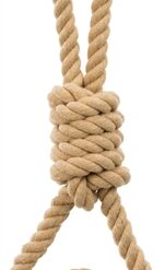 Trixie Be Nordic Flostouw Met Touwbal 30X8X8 CM