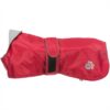 405565