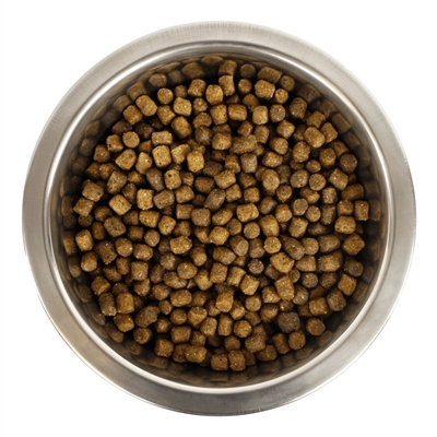 Yourdog Chien Français Blanc Et Orange Pup 12 KG