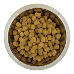 Yourdog Chien Français Blanc Et Orange Senior 12 KG