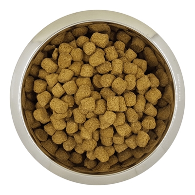Yourdog Chien Français Blanc Et Orange Volwassen 12 KG