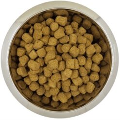 Yourdog Koningspoedel Senior 12 KG