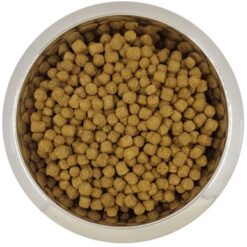 Yourdog Dwerg- Of Toypoedel Senior 12 KG