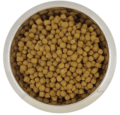 Yourdog Dwerg- Of Toypoedel Senior 12 KG