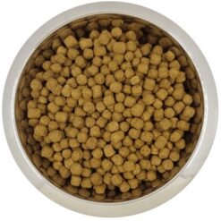 Yourdog Dwerg- Of Toypoedel Volwassen 12 KG
