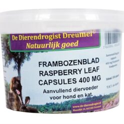 Dierendrogist Frambozenblad Capsules 400 MG 100 St