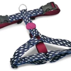 Morso Hondentuig H-Tuig Gerecycled Power Flow Zwart 40-55X1,5 CM