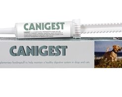 Trm Canigest 15 ML
