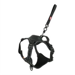 Zolux Easyride Hondentuig Zwart L 46-64X63-80 CM