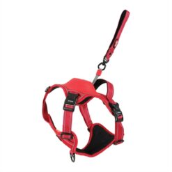 Zolux Easyride Hondentuig Rood XL 56-80X73-94 CM