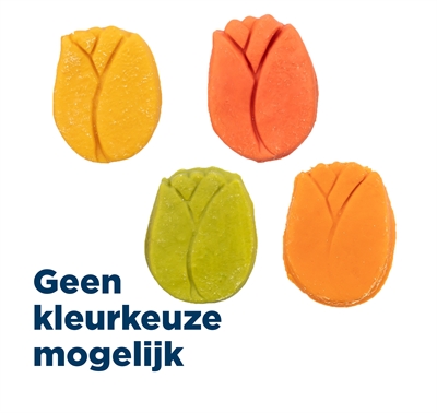 Trixie Roos Met Kippenborst Assorti 30 GR