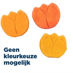 Trixie Tulp Met Kippenborst Assorti 25 GR