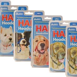 Company Of Animals Halti Headcollar Zwart Nr 2