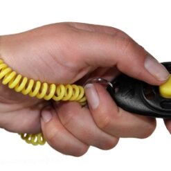 Starmark Clicker De Luxe Voor Training 6X4 CM
