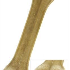 Petsnack Geperst Bot Gevuld Met Rund 20 CM 5 St