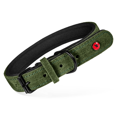 Zolux Expert Halsband Hond Premium Leer / Neopreen Groen 70X3 CM